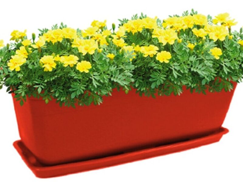 Macetero Rectangular Ecuador