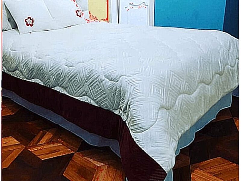 Cobertor antártida Quito