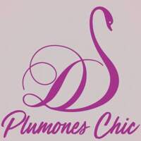Plumones Chic