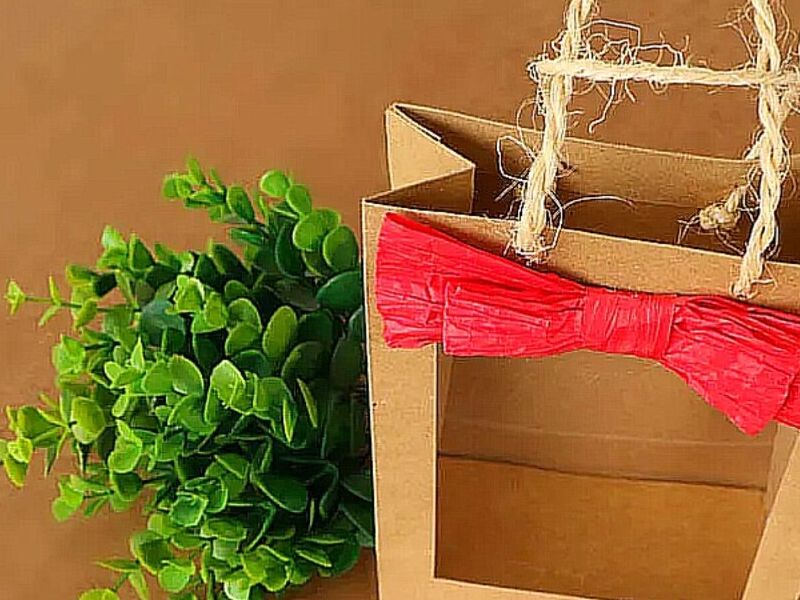 Envase bolsa Ambato