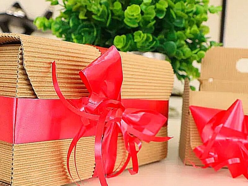 Envase cartera Ambato