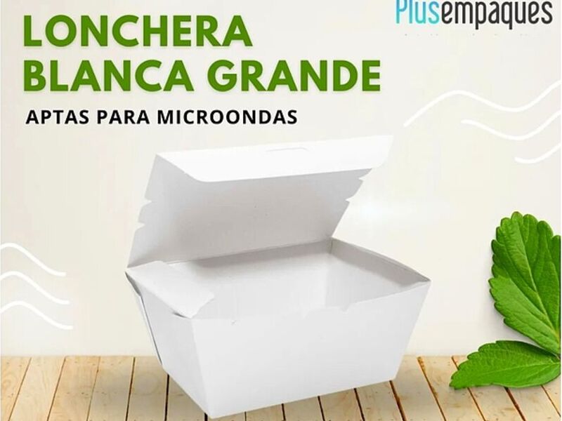 Lonchera grande blanca Guayaquil
