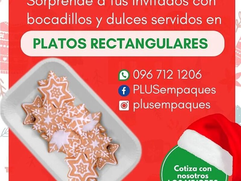Platos rectangulares Guayaquil