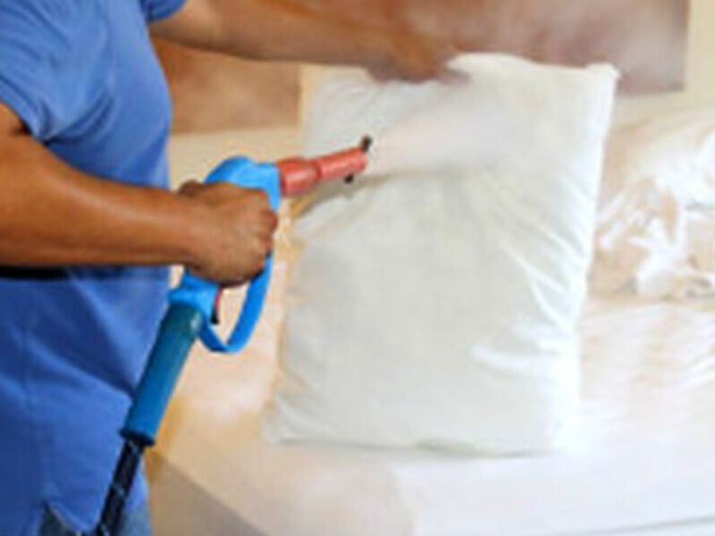 SANITIZACION
