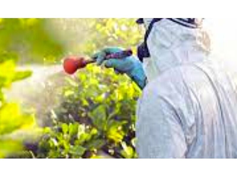 Control de plagas (pesticidas y fungicidas)