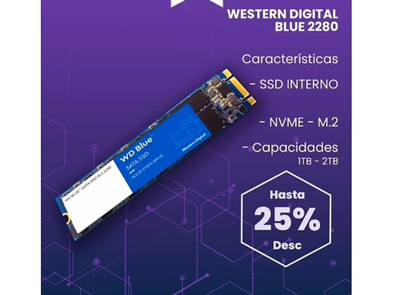 Western digital blue 2280 Guayaquil