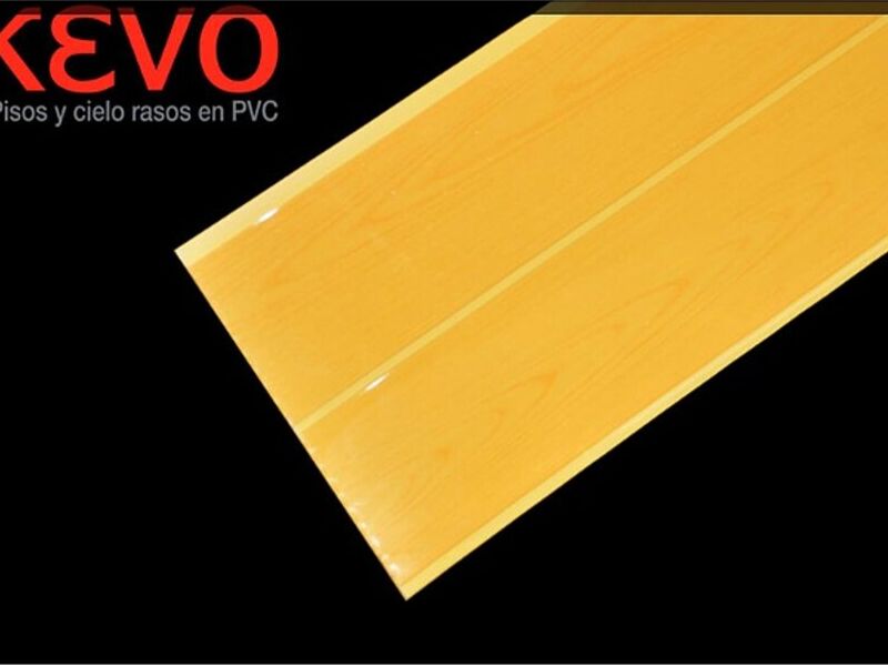 Cielo raso Álamo Ecaudor