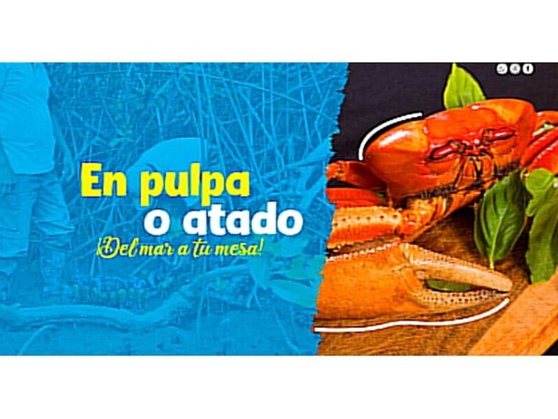 Proyecto publicidad rey mar Machala