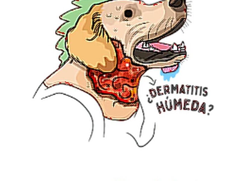 Ilustracion digital Quito