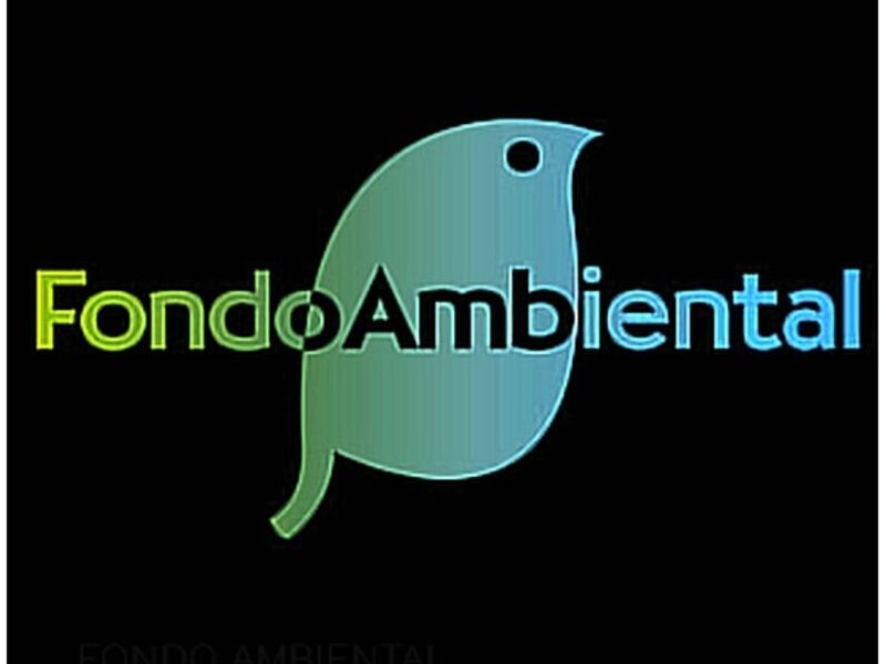 Proyecto fondo ambiental Quito