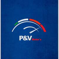 P&V Motors