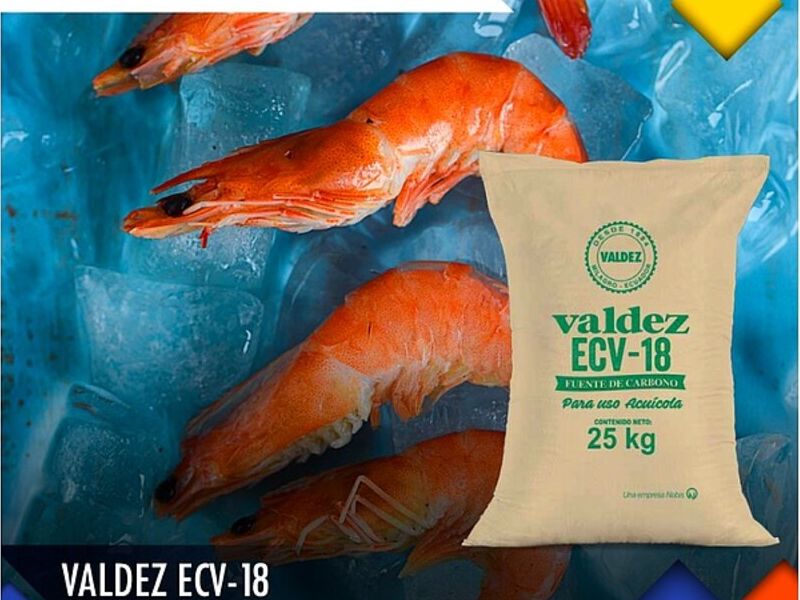 Valdez ECV 18 Quito