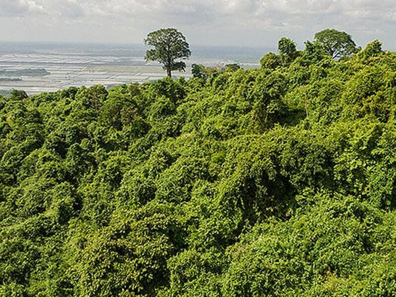 PLAN MAESTRO BOSQUE ECUADOR