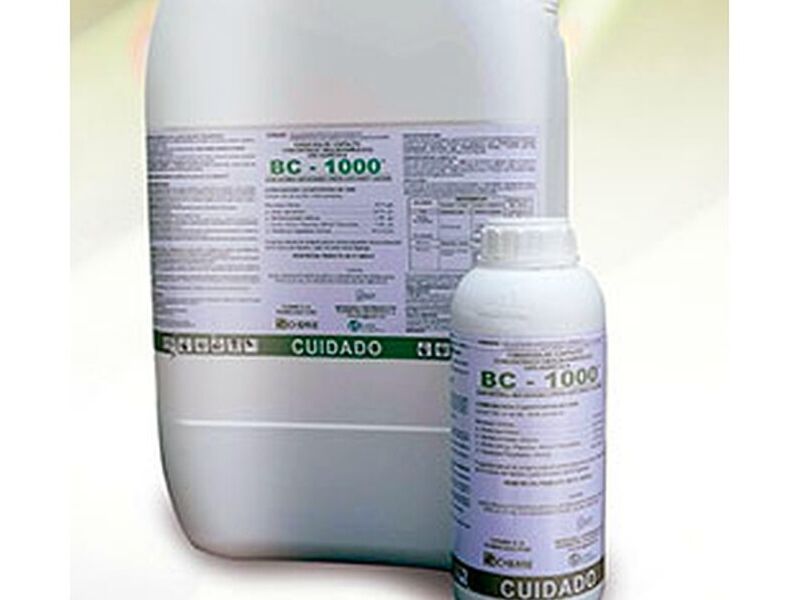 BC 1000 Guayaquil