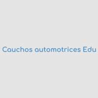 Cauchos automotrices Edu