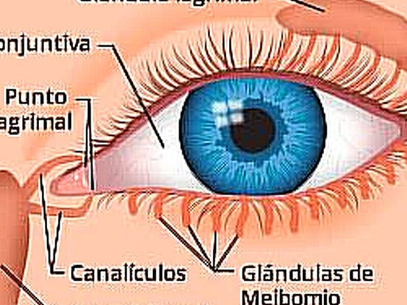 Condiciones de los ojos Quito