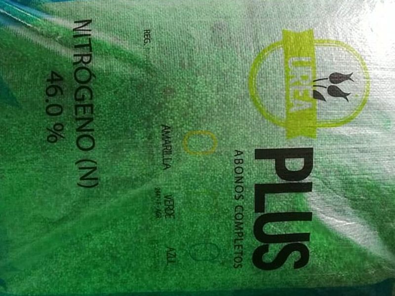Urea verde Ambato