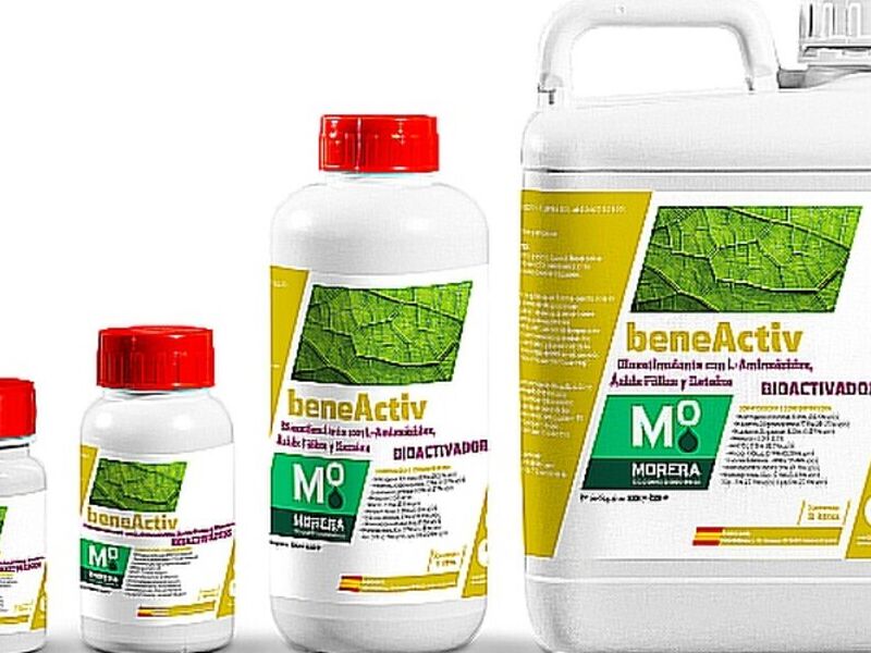 Beneactiv Ibarra