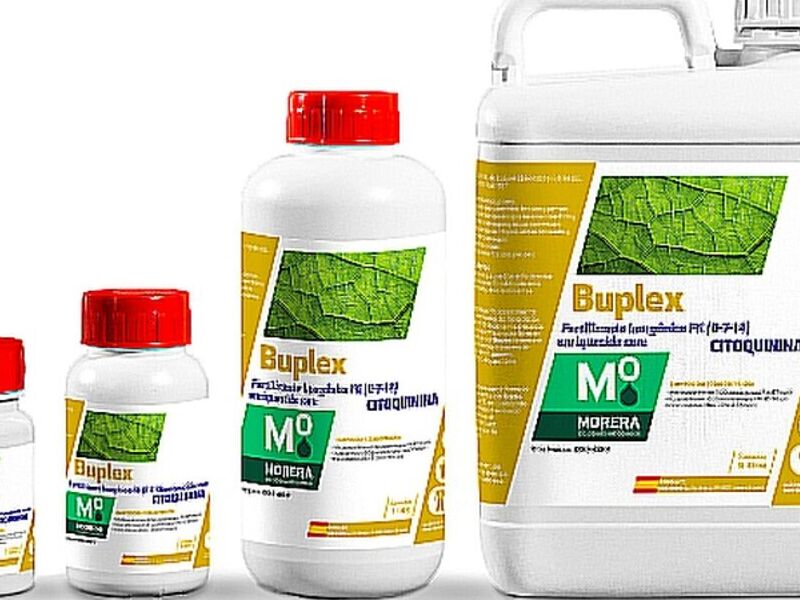 Buplex Ibarra