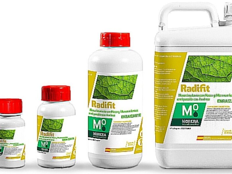 Radifit Ibarra