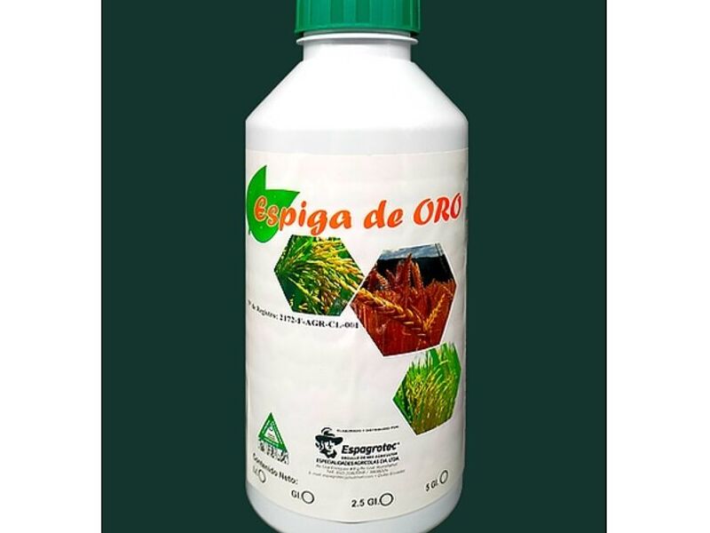 Espiga de oro Sangolqui