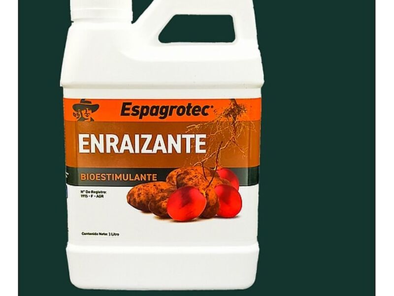 Enraizante Sangolqui