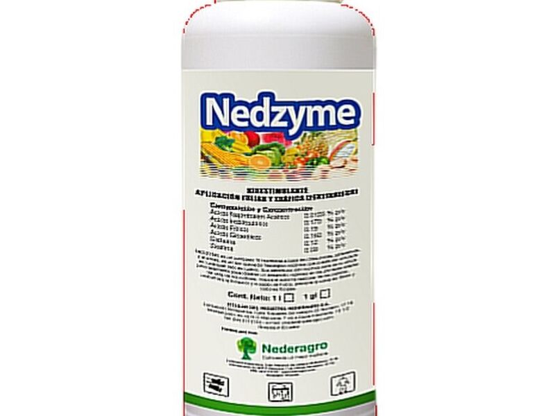 Nedzyme Guayaquil