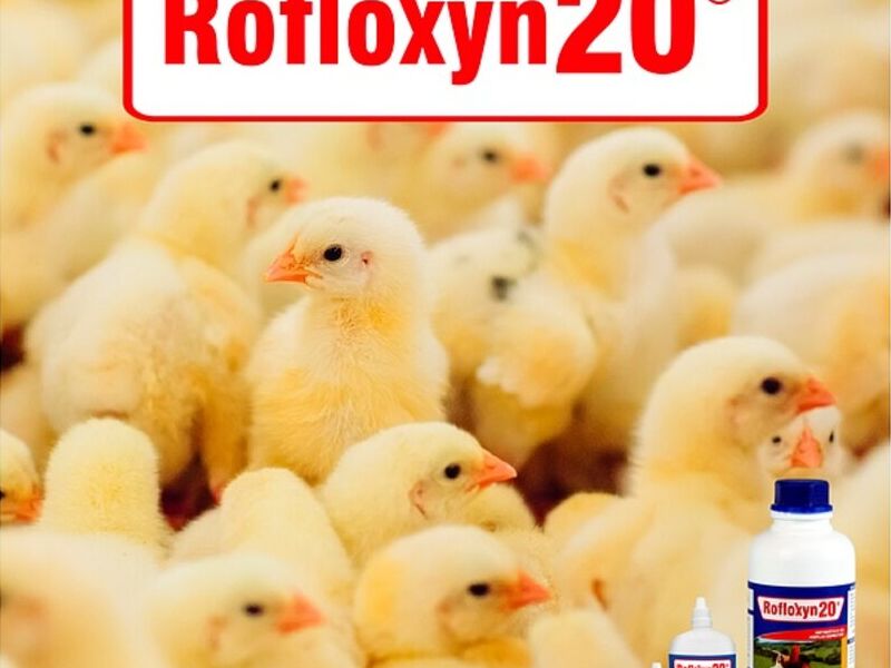 Rofloxyn 20 Quito