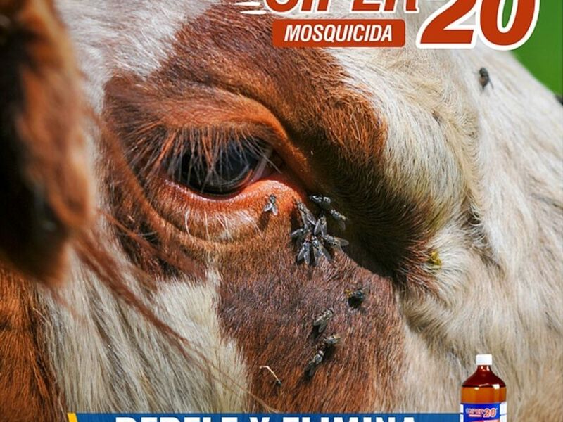 Ciper 20 mosquicida Quito