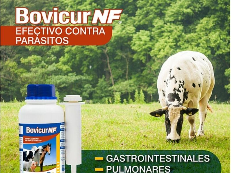 Bovicur NF Quito