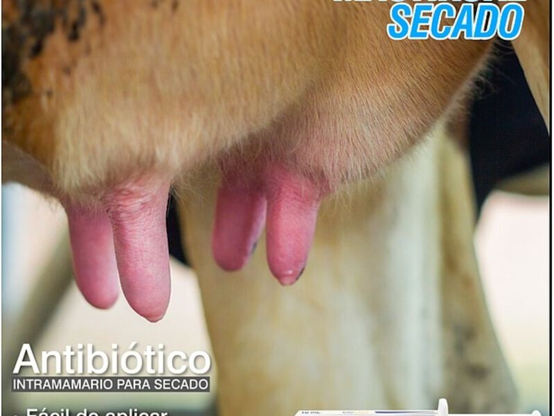 Mastikure secado Quito