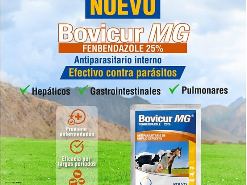 Bovicur MG Quito