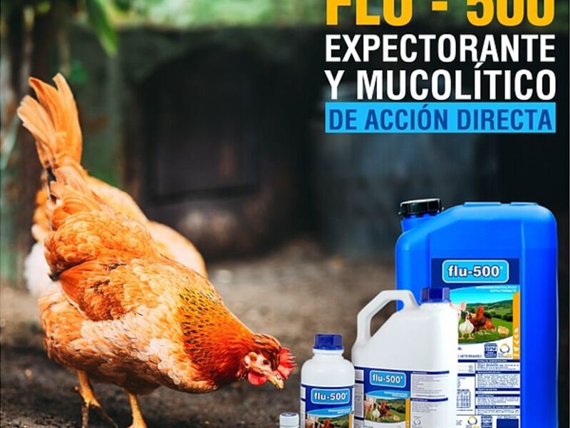 Flu 500 Quito