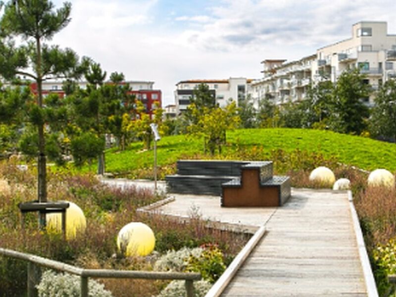 Paisajismo parques Ecuador 