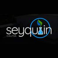 Seyquiin