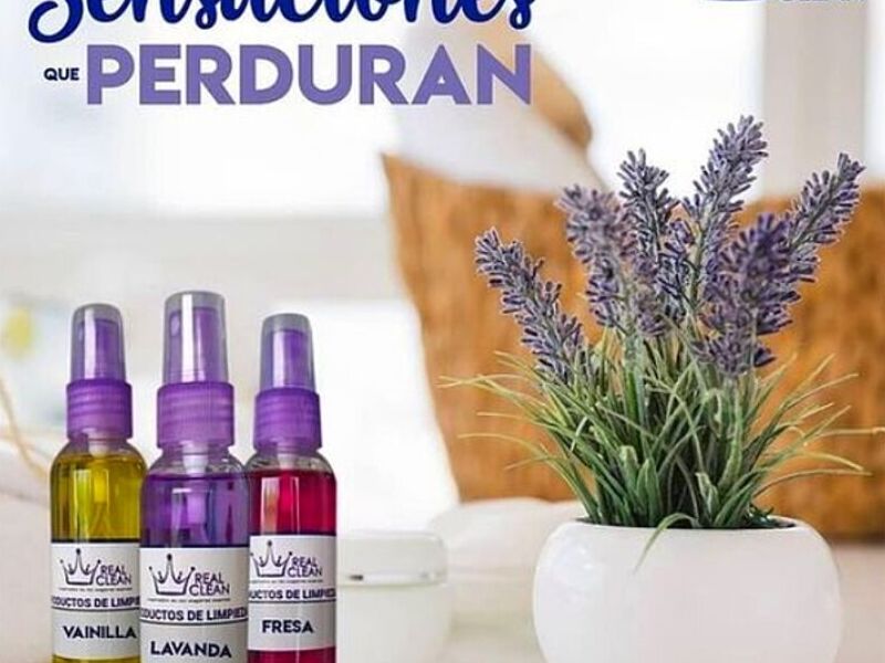 Kit de aromatizantes hogareño Guayaquil
