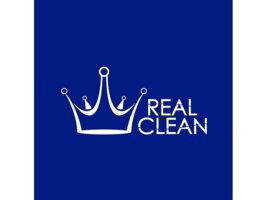 Químicos REAL CLEAN