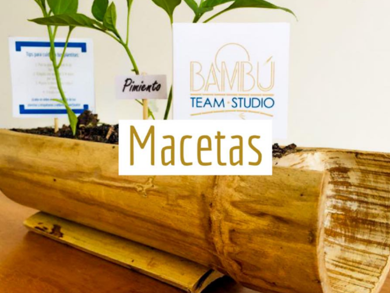MACETA ECUADOR