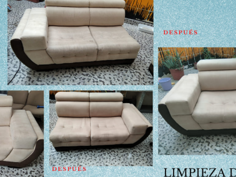 LIMPIEZA MUEBLES CARCHI