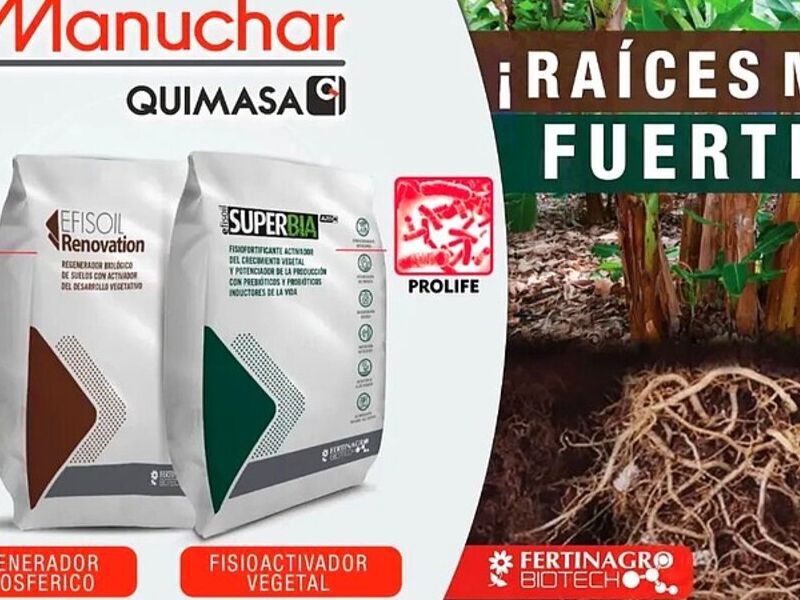Superbia Quito