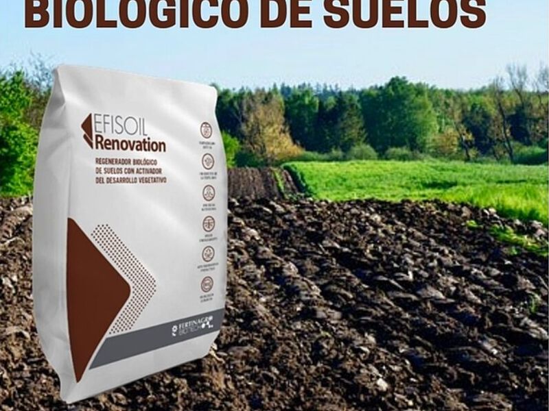 Efisol renovación Quito