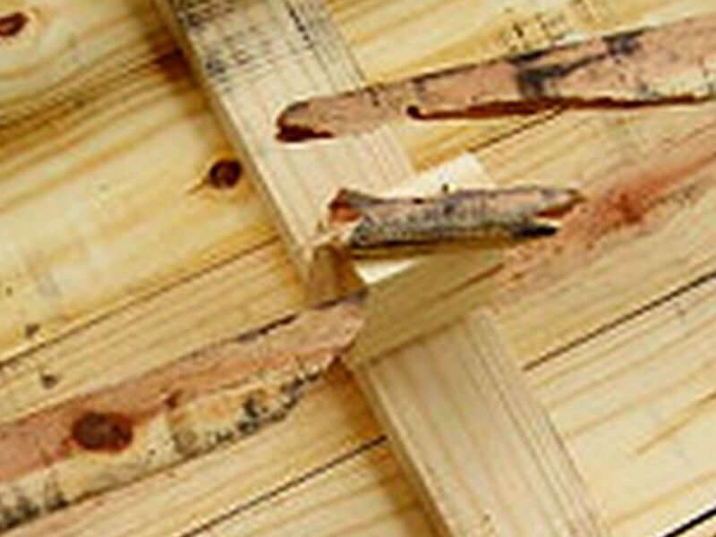 Pallet madera Ecuador 