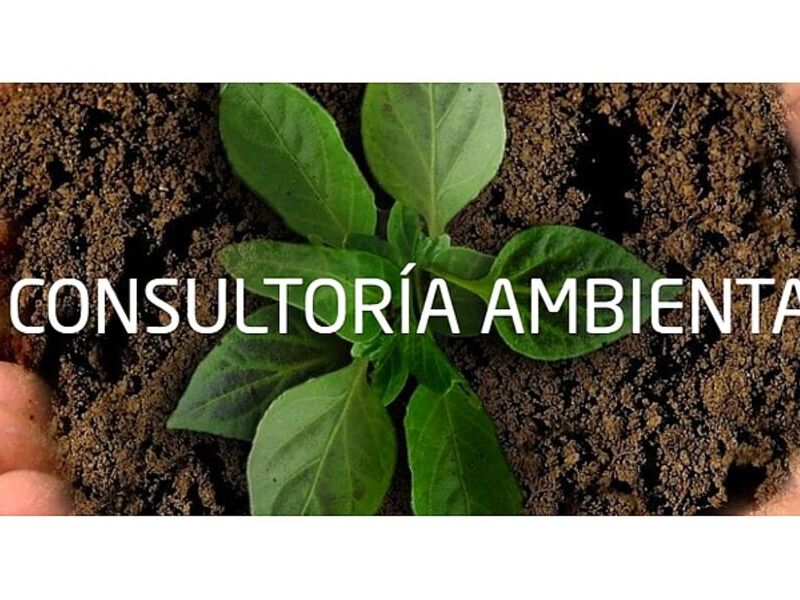 Consultoría Ambiental Quito 