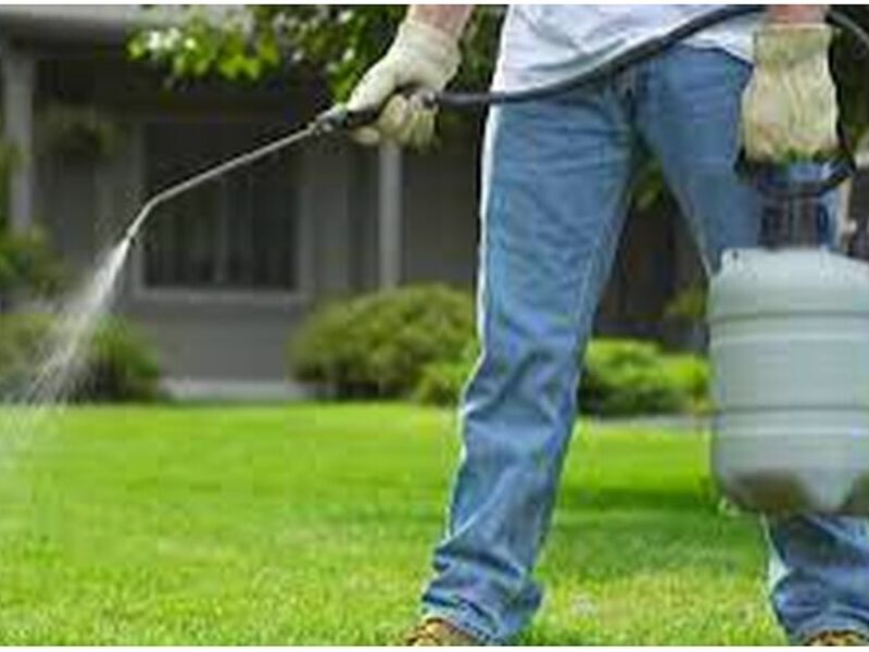 Fumigacion jardin Ecuador 