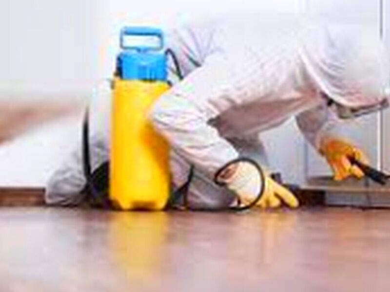 Habitaciones Ecuador 