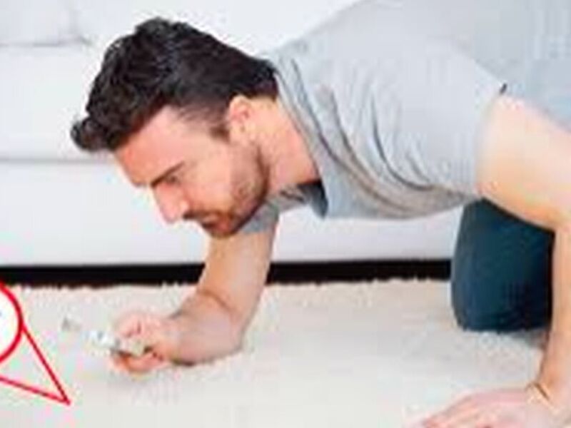 Fumigacion insectos Ecuador 