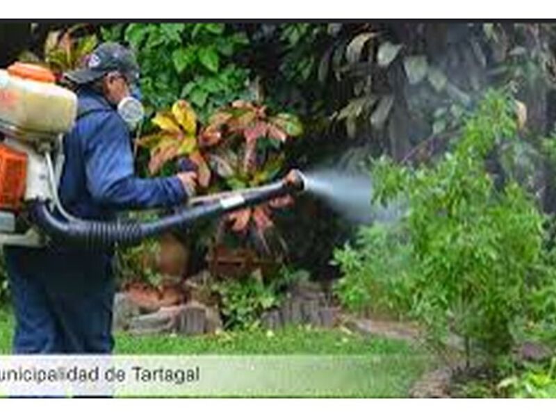 Quita maleza Ecuador 