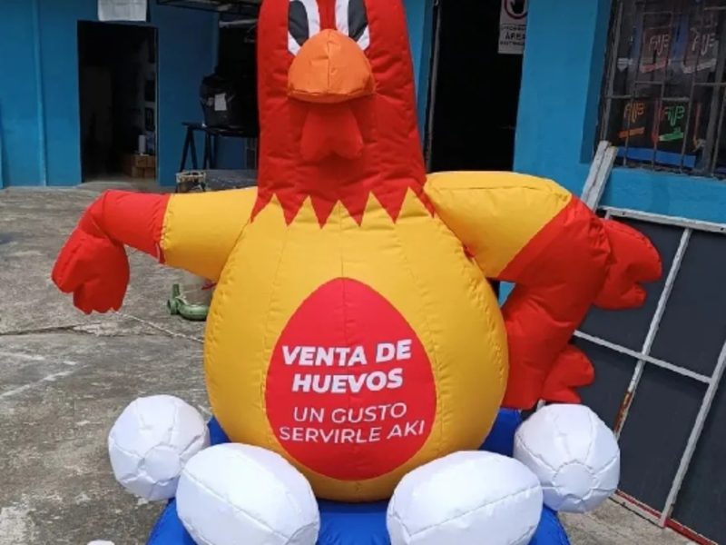 INFLABLES CAÑAR