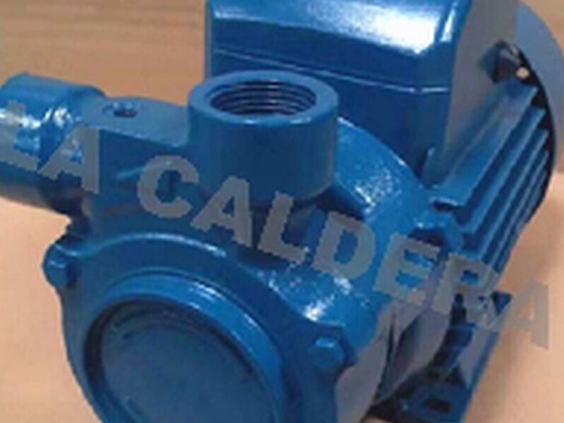 BOMBA DE AGUA PERIFERICA 2HP 142 PSI