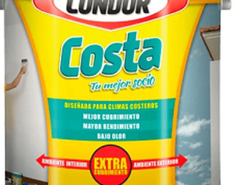 Pintura Condor 1